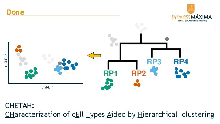 t_SNE_2 Done t_SNE_1 CHETAH: CHaracterization of c. Ell Types Aided by Hierarchical clustering t_SNE_2 Done t_SNE_1 CHETAH: CHaracterization of c. Ell Types Aided by Hierarchical clustering
