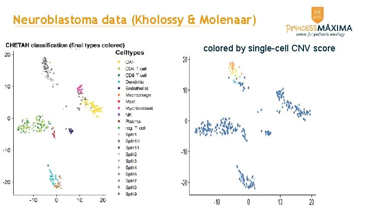 Neuroblastoma data (Kholossy & Molenaar) colored by single-cell CNV score Neuroblastoma data (Kholossy & Molenaar) colored by single-cell CNV score