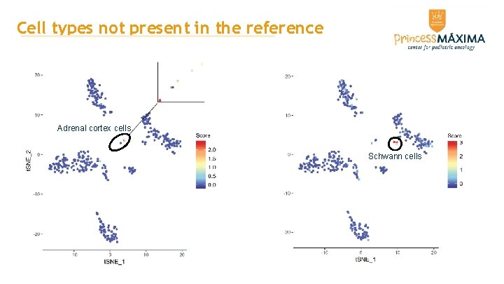 Cell types not present in the reference Adrenal cortex cells Schwann cells Cell types not present in the reference Adrenal cortex cells Schwann cells