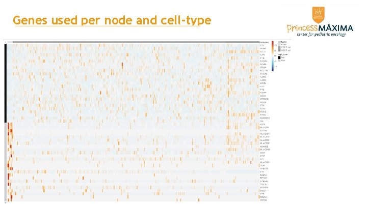 Genes used per node and cell-type Genes used per node and cell-type