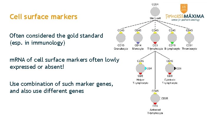 Cell surface markers Often considered the gold standard (esp. in immunology) m. RNA of Cell surface markers Often considered the gold standard (esp. in immunology) m. RNA of