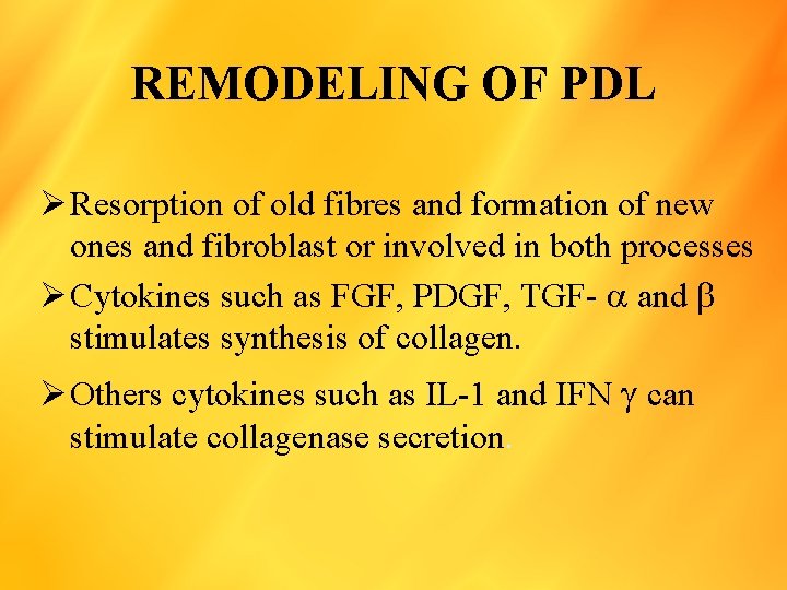 REMODELING OF PDL Ø Resorption of old fibres and formation of new ones and