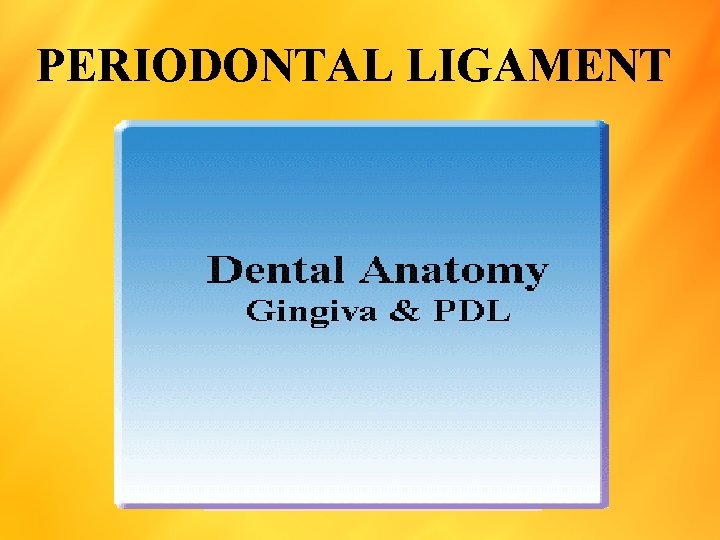 PERIODONTAL LIGAMENT 