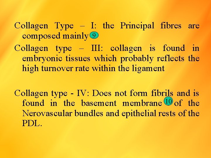 Collagen Type – I: the Principal fibres are composed mainly 9 Collagen type –