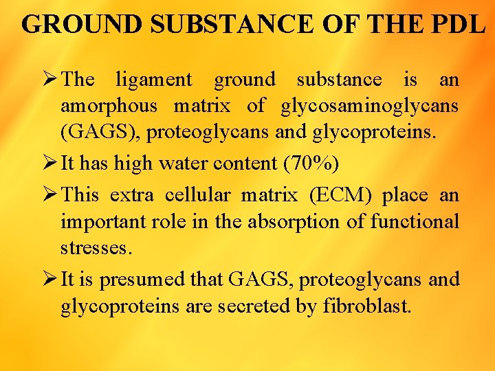 GROUND SUBSTANCE OF THE PDL Ø The ligament ground substance is an amorphous matrix