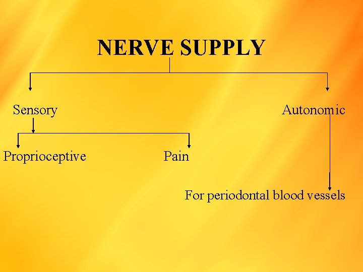 NERVE SUPPLY Sensory Proprioceptive Autonomic Pain For periodontal blood vessels 