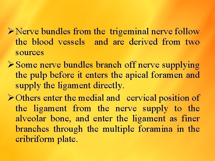 Ø Nerve bundles from the trigeminal nerve follow the blood vessels and are derived