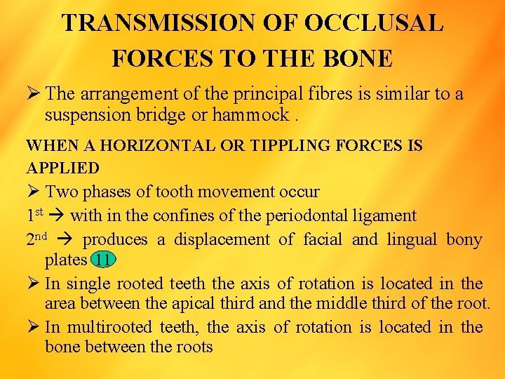 TRANSMISSION OF OCCLUSAL FORCES TO THE BONE Ø The arrangement of the principal fibres