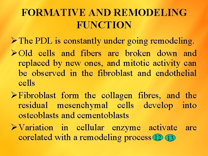 FORMATIVE AND REMODELING FUNCTION Ø The PDL is constantly under going remodeling. Ø Old