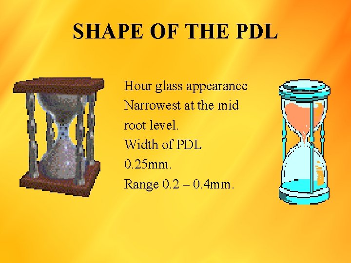 SHAPE OF THE PDL Hour glass appearance Narrowest at the mid root level. Width