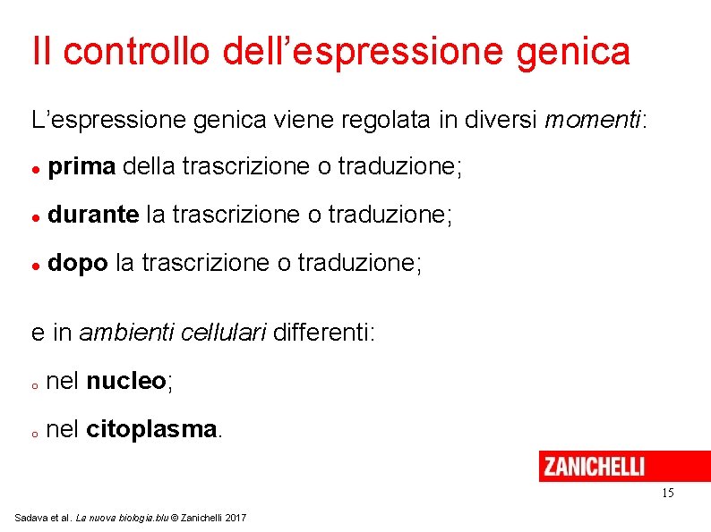 Il controllo dell’espressione genica L’espressione genica viene regolata in diversi momenti: prima della trascrizione