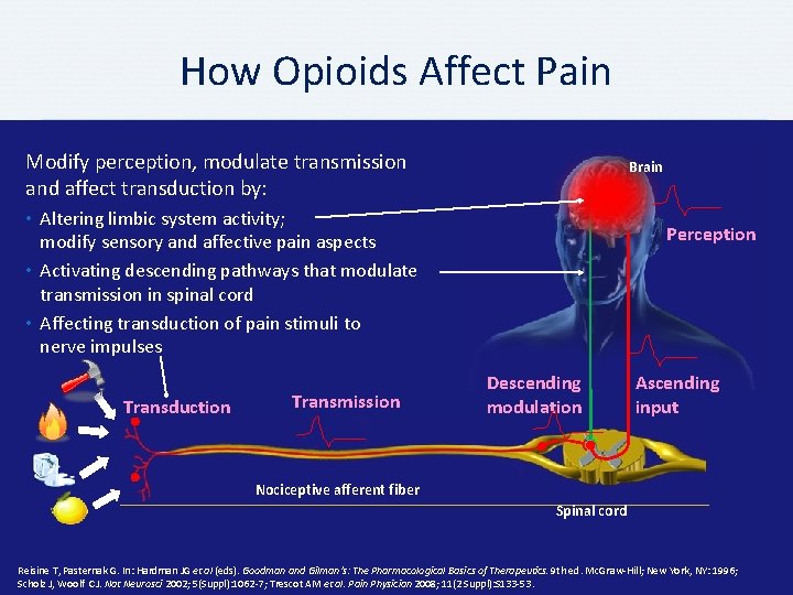 How Opioids Affect Pain Modify perception, modulate transmission and affect transduction by: Brain •