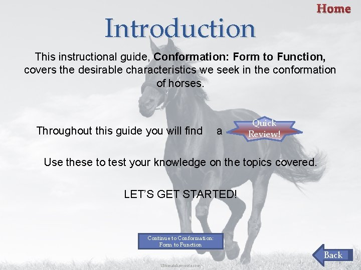 Introduction Home This instructional guide, Conformation: Form to Function, covers the desirable characteristics we Introduction Home This instructional guide, Conformation: Form to Function, covers the desirable characteristics we
