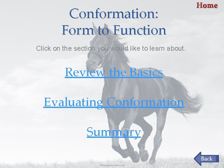 Conformation: Form to Function Home Click on the section you would like to learn Conformation: Form to Function Home Click on the section you would like to learn