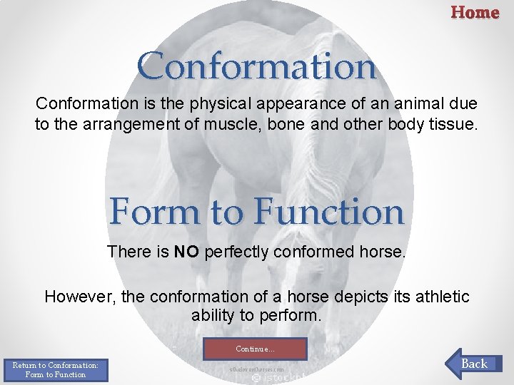 Home Conformation is the physical appearance of an animal due to the arrangement of Home Conformation is the physical appearance of an animal due to the arrangement of