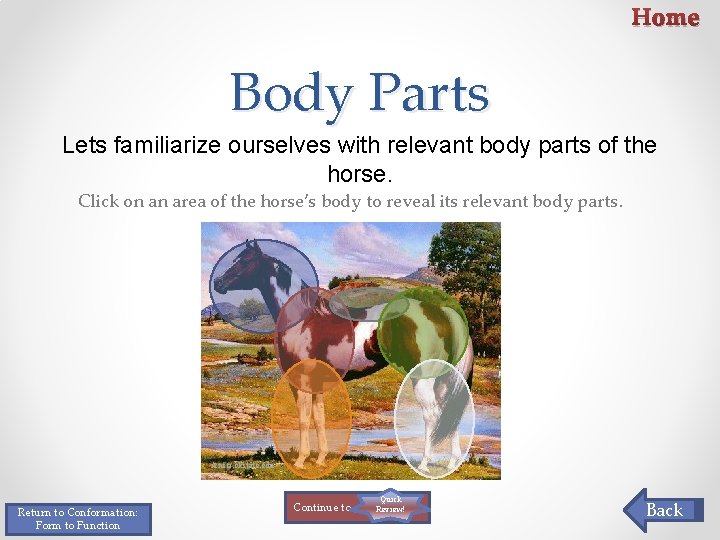 Home Body Parts Lets familiarize ourselves with relevant body parts of the horse. Click Home Body Parts Lets familiarize ourselves with relevant body parts of the horse. Click