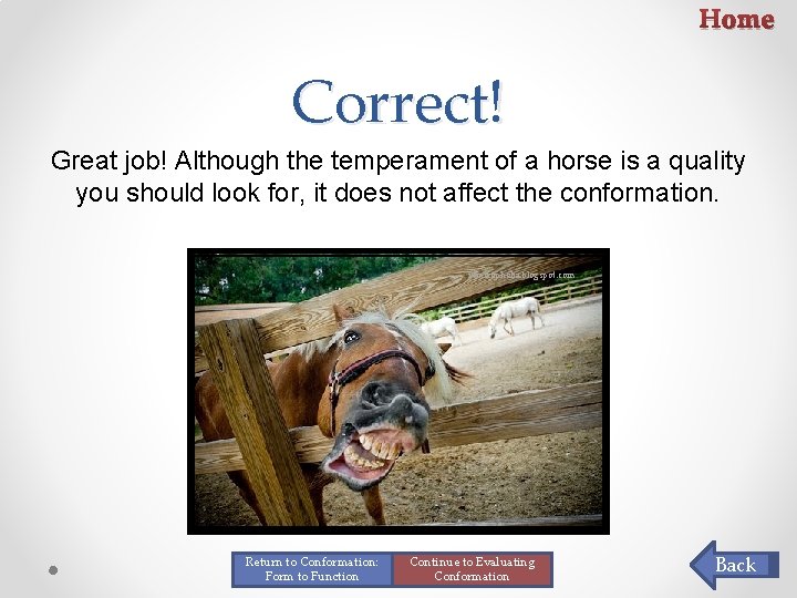 Home Correct! Great job! Although the temperament of a horse is a quality you Home Correct! Great job! Although the temperament of a horse is a quality you