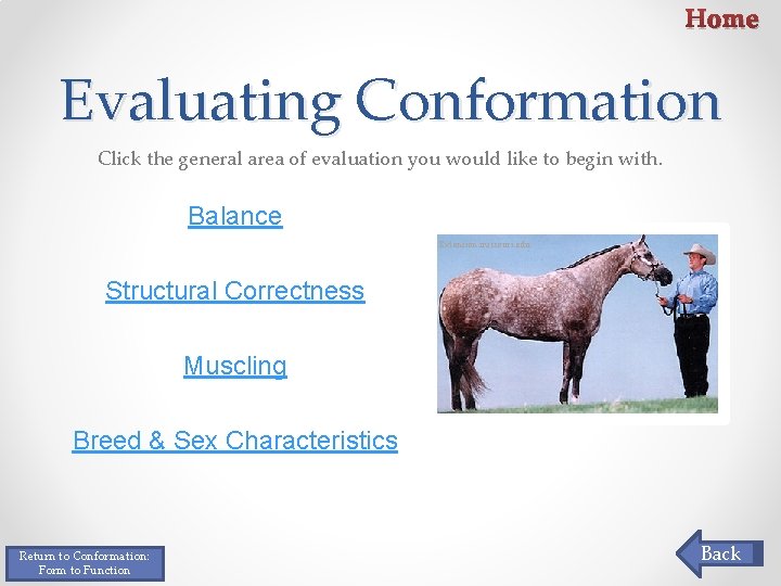 Home Evaluating Conformation Click the general area of evaluation you would like to begin Home Evaluating Conformation Click the general area of evaluation you would like to begin