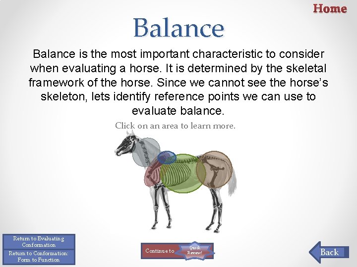 Balance Home Balance is the most important characteristic to consider when evaluating a horse. Balance Home Balance is the most important characteristic to consider when evaluating a horse.