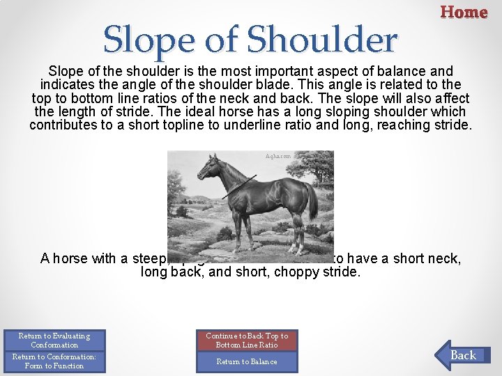 Slope of Shoulder Home Slope of the shoulder is the most important aspect of Slope of Shoulder Home Slope of the shoulder is the most important aspect of