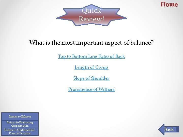 Quick Review! Home What is the most important aspect of balance? Top to Bottom Quick Review! Home What is the most important aspect of balance? Top to Bottom