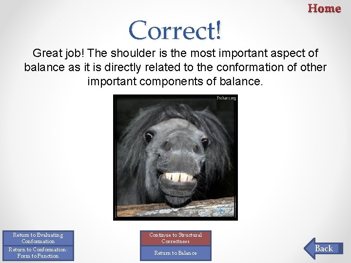 Correct! Home Great job! The shoulder is the most important aspect of balance as Correct! Home Great job! The shoulder is the most important aspect of balance as