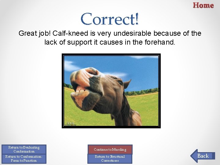 Correct! Home Great job! Calf-kneed is very undesirable because of the lack of support Correct! Home Great job! Calf-kneed is very undesirable because of the lack of support