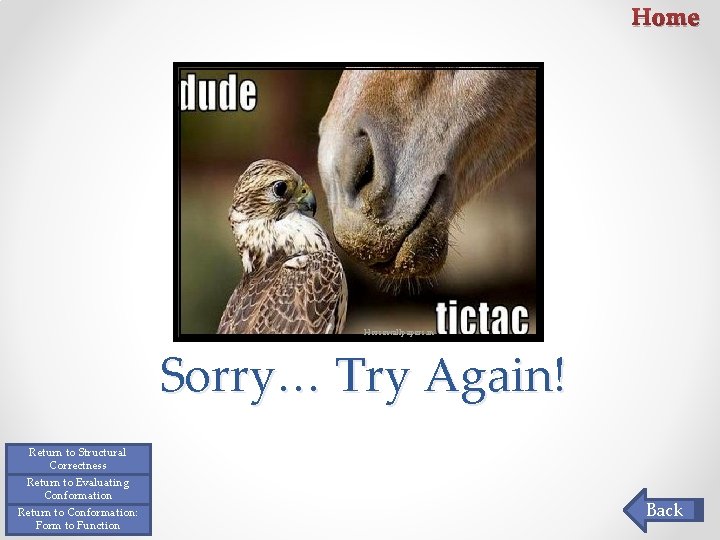 Home Horsewallpapers. in Sorry… Try Again! Return to Structural Correctness Return to Evaluating Conformation Home Horsewallpapers. in Sorry… Try Again! Return to Structural Correctness Return to Evaluating Conformation