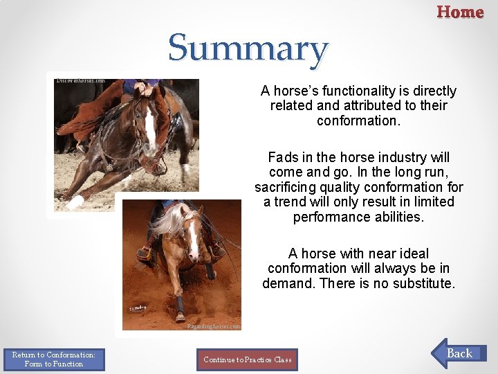 Summary Discoverhorses. com Home A horse’s functionality is directly related and attributed to their Summary Discoverhorses. com Home A horse’s functionality is directly related and attributed to their
