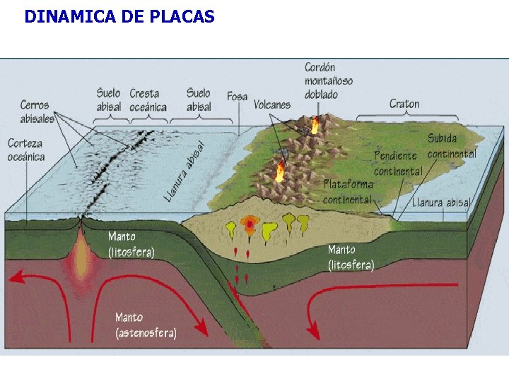 DINAMICA DE PLACAS 