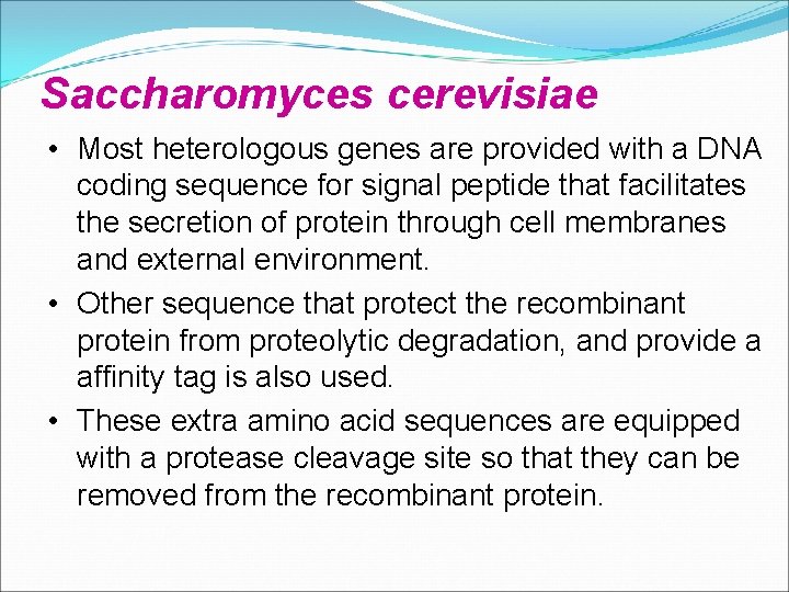 Saccharomyces cerevisiae • Most heterologous genes are provided with a DNA coding sequence for