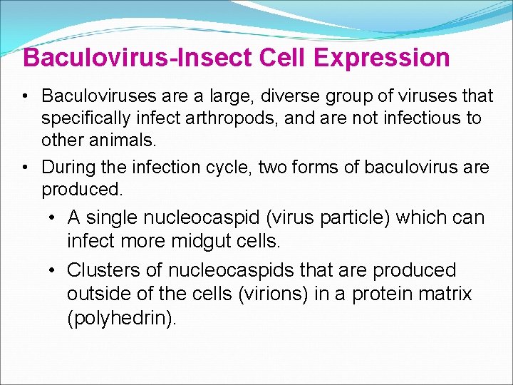 Baculovirus-Insect Cell Expression • Baculoviruses are a large, diverse group of viruses that specifically Baculovirus-Insect Cell Expression • Baculoviruses are a large, diverse group of viruses that specifically