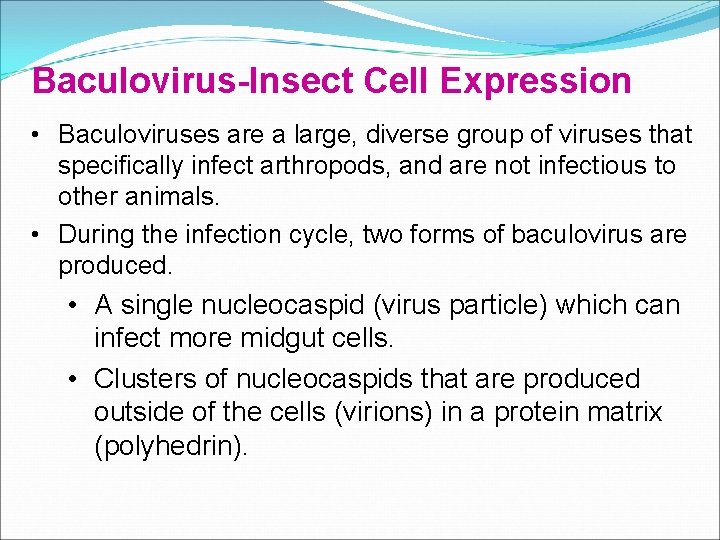 Baculovirus-Insect Cell Expression • Baculoviruses are a large, diverse group of viruses that specifically