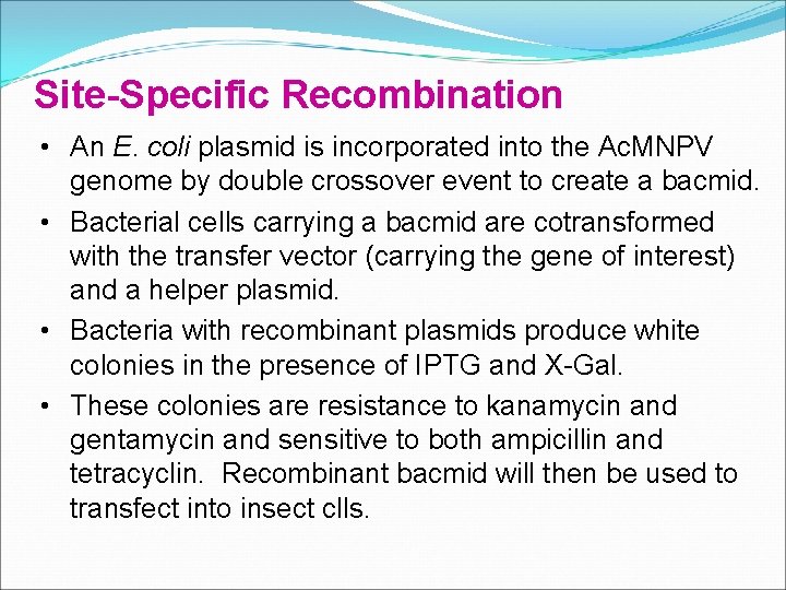 Site-Specific Recombination • An E. coli plasmid is incorporated into the Ac. MNPV genome