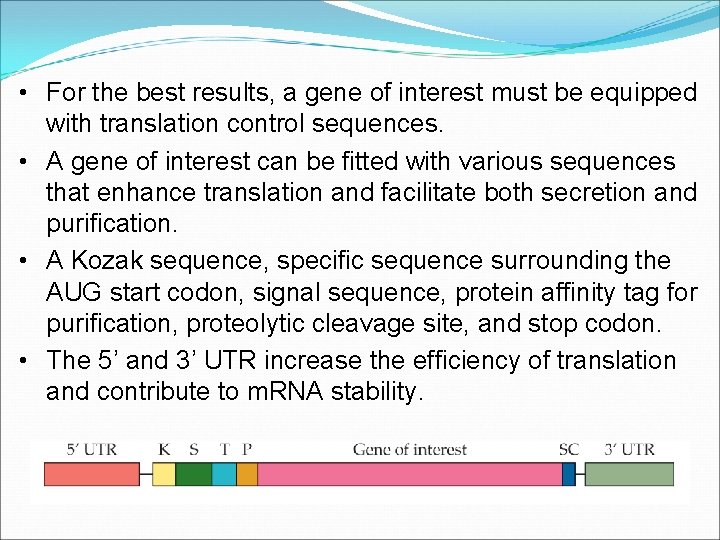 • For the best results, a gene of interest must be equipped with • For the best results, a gene of interest must be equipped with