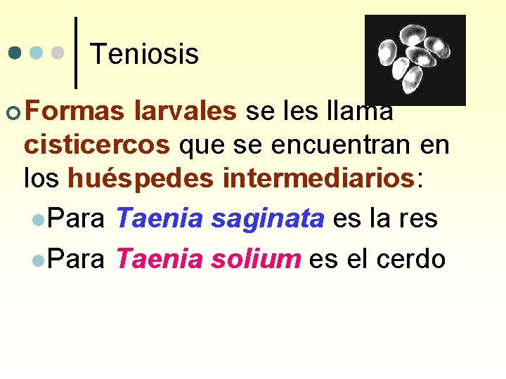 Teniosis ¢ Formas larvales se les llama cisticercos que se encuentran en los huéspedes
