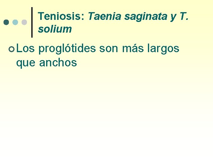 Teniosis: Taenia saginata y T. solium ¢ Los proglótides son más largos que anchos
