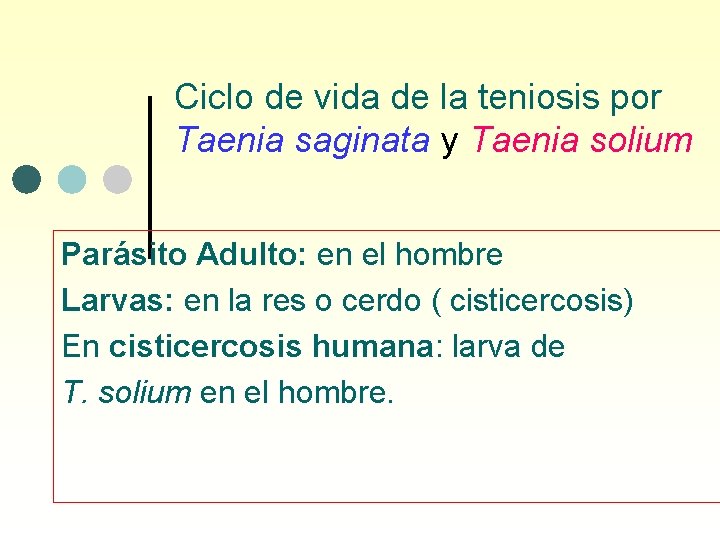 Ciclo de vida de la teniosis por Taenia saginata y Taenia solium Parásito Adulto: