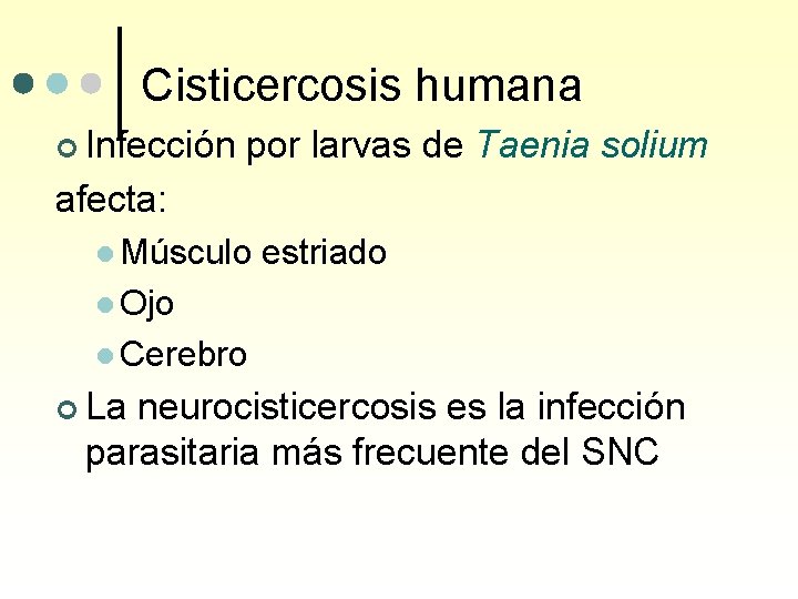 Cisticercosis humana ¢ Infección por larvas de Taenia solium afecta: l Músculo estriado l