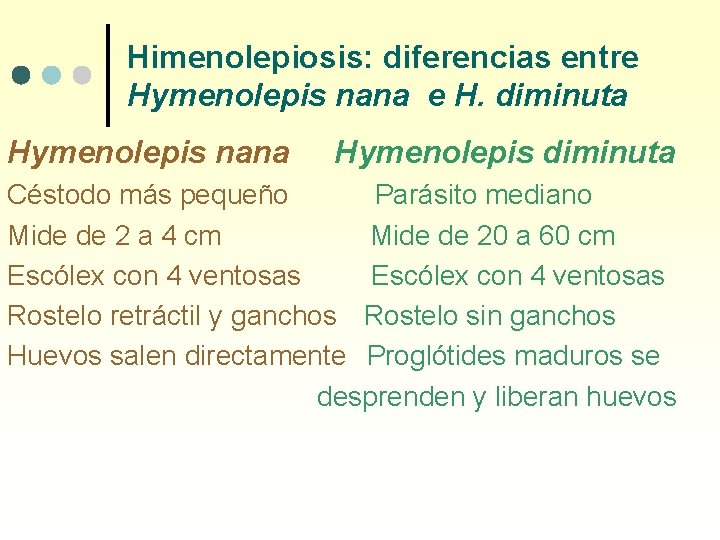 Himenolepiosis: diferencias entre Hymenolepis nana e H. diminuta Hymenolepis nana Hymenolepis diminuta Céstodo más