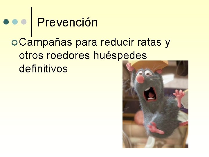 Prevención ¢ Campañas para reducir ratas y otros roedores huéspedes definitivos 