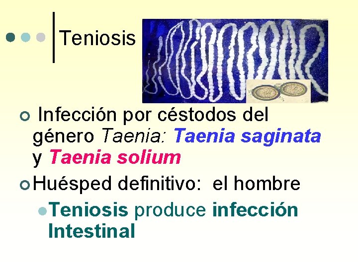 Teniosis Infección por céstodos del género Taenia: Taenia saginata y Taenia solium ¢ Huésped