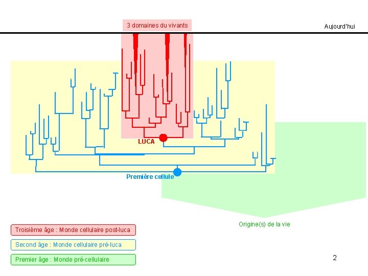3 domaines du vivants Aujourd’hui LUCA Première cellule Troisième âge : Monde cellulaire post-luca