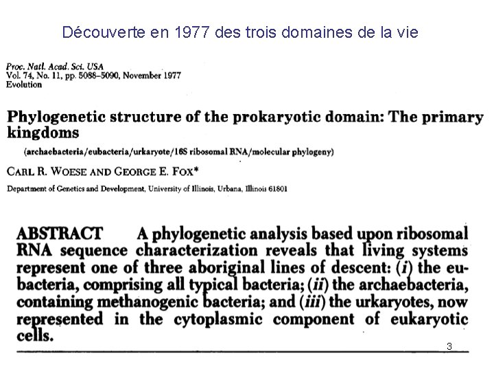 Découverte en 1977 des trois domaines de la vie 3 