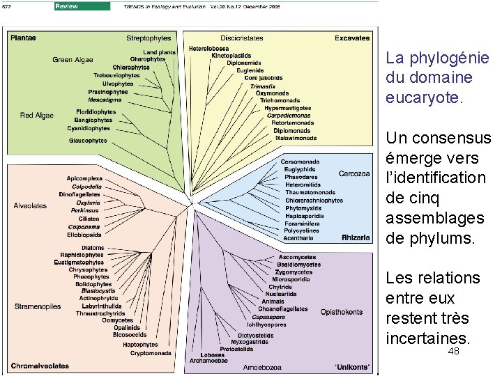 La phylogénie du domaine eucaryote. Un consensus émerge vers l’identification de cinq assemblages de