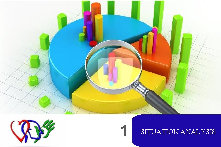 1 SITUATION ANALYSIS 
