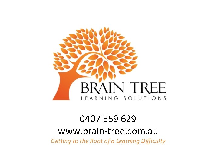 0407 559 629 www. brain-tree. com. au Getting to the Root of a Learning