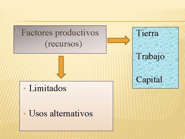 Factores productivos (recursos) Tierra Trabajo • Limitados • Usos alternativos Capital 