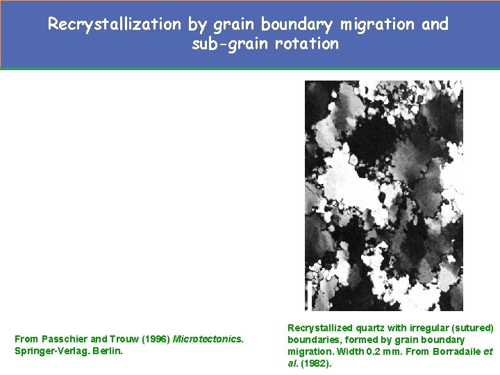 Recrystallization by grain boundary migration and sub-grain rotation From Passchier and Trouw (1996) Microtectonics. Recrystallization by grain boundary migration and sub-grain rotation From Passchier and Trouw (1996) Microtectonics.