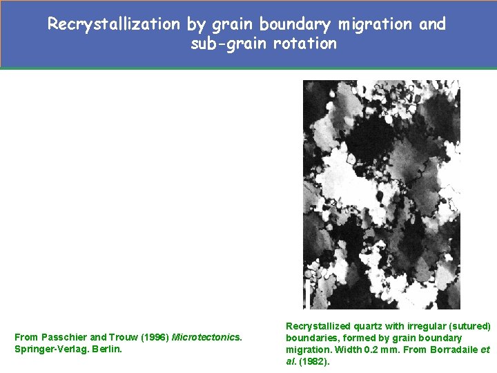 Recrystallization by grain boundary migration and sub-grain rotation From Passchier and Trouw (1996) Microtectonics.